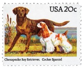 U.S. Stamp