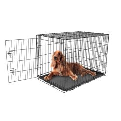 Carlson Pet Products Secure and Foldable Single Door