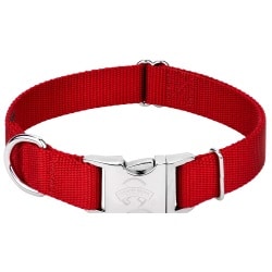 Country Brook Petz | Premium Nylon Dog Collar with Metal Buckle