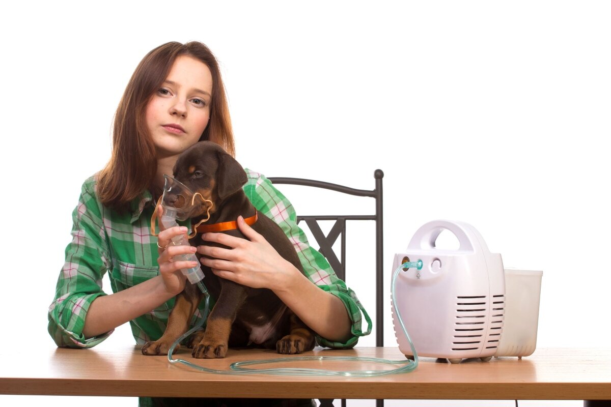 Dog Asthma: Symptoms, Risks and Prevention Tips • Pet on Bed