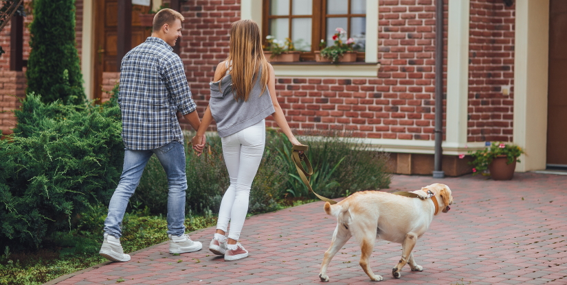 Young couple walking with a dog near home