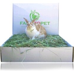 Farm to Pet “Best” 2nd Cutting Timothy hay
