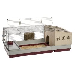 Luxury guinea best sale pig home