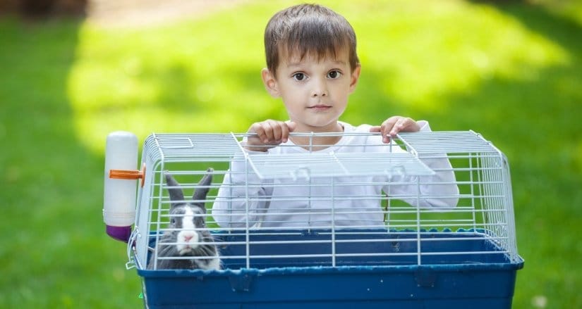 Indoor Rabbit Cage