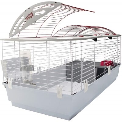 Best cage for shop two guinea pigs