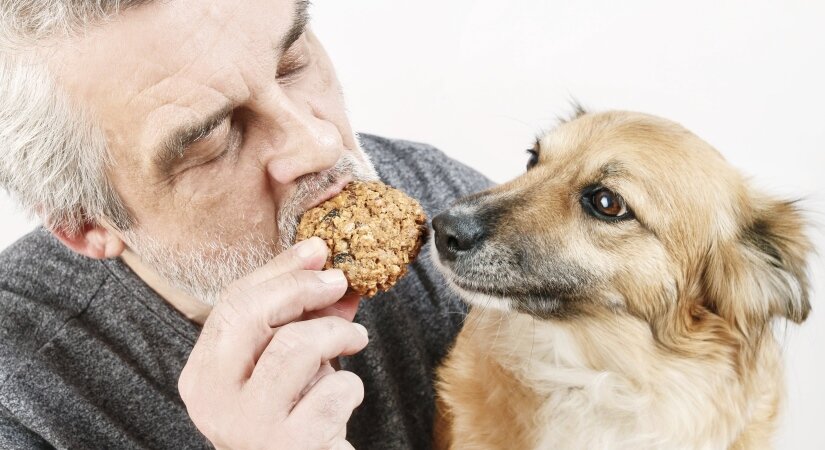 Man Treats a Dog With Oatmeal Cookies