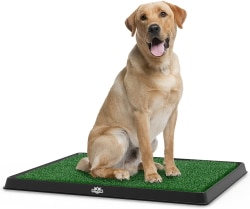 PETMAKER Artificial Grass Puppy Pad