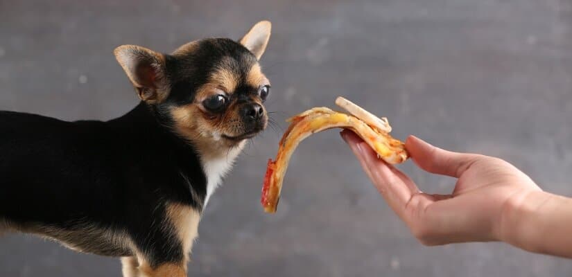 Dogs With Pizza