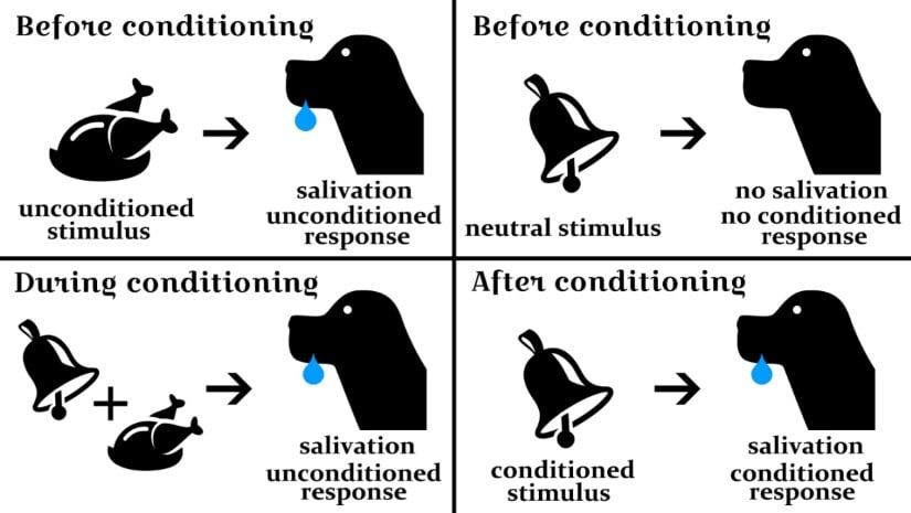 How Is A Bell And Salivation Related To Punishment?