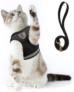 Supet Cat Harness and Leash Set
