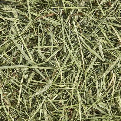 Grass Hay