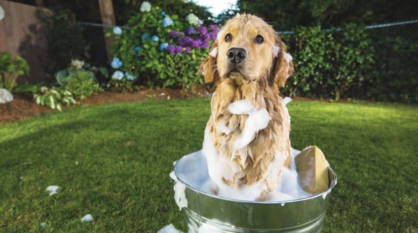 Bath time