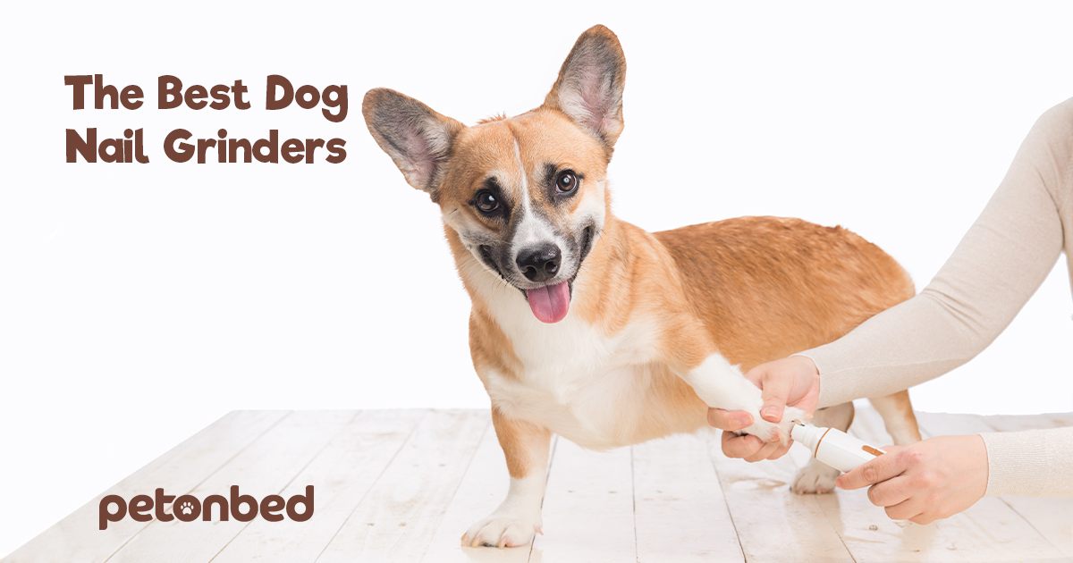 The 6 Best Electric Dog Nail Grinders for 2024 🐶 Review & Guide
