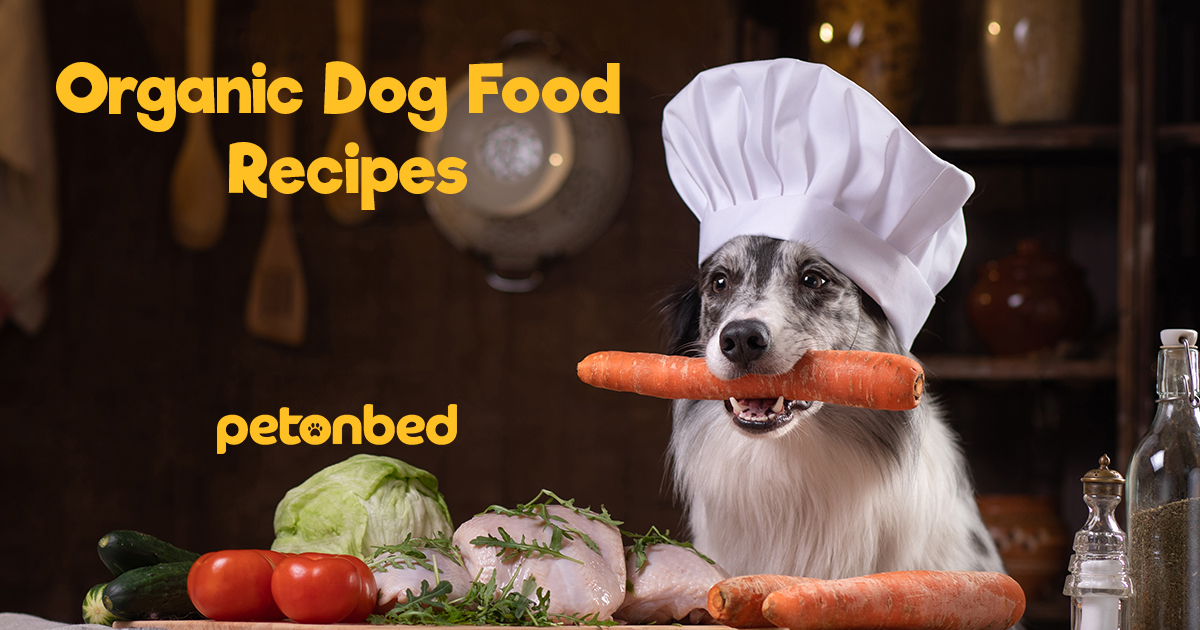 Best Organic Dog Food Recipes That Are Super Easy to Make PetonBed