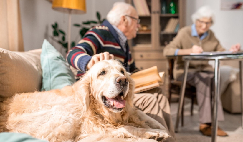 Dog with grandma and grandpa