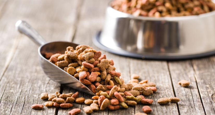 Pet food in a bowl