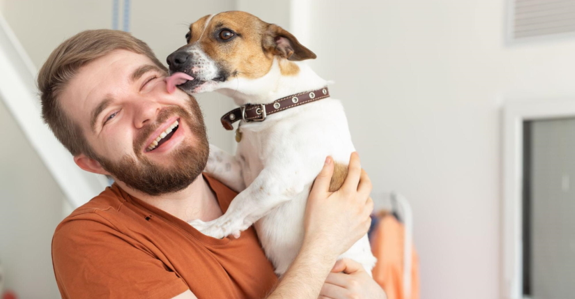 Dog kissing his owner