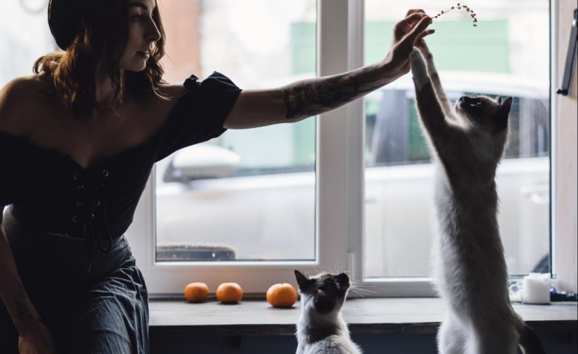 Woman plays with her cats