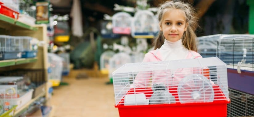 The child chooses a cage for a hamster