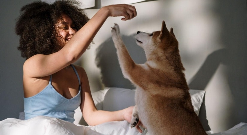 Fun workouts with a furry friend in bed