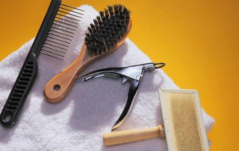 Dog grooming tools