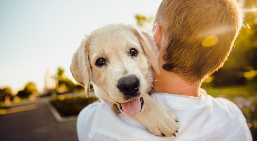 Happy pup being hugged