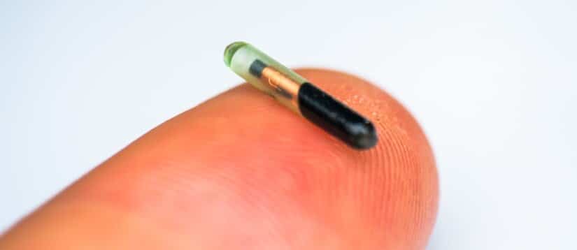 Microchip is small