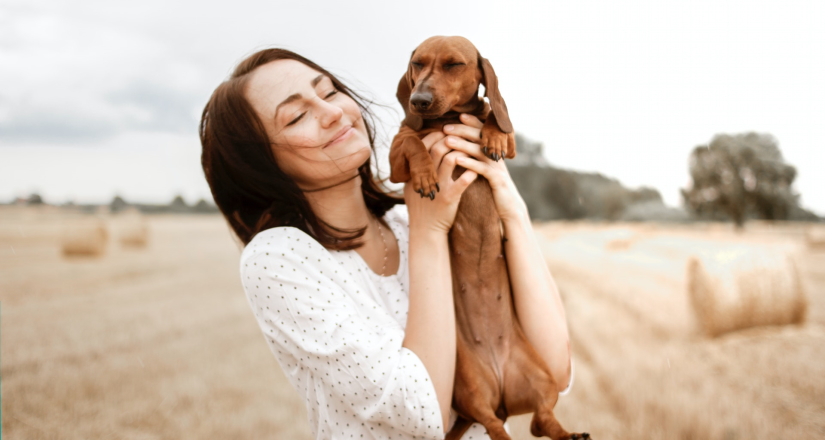 Dachshund puppy with his owner