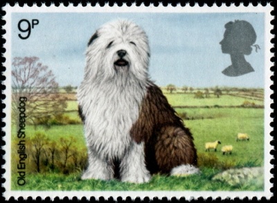 Postmark with a picture of a dog
