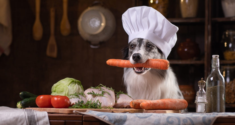 Dog in the kitchen with vegetables