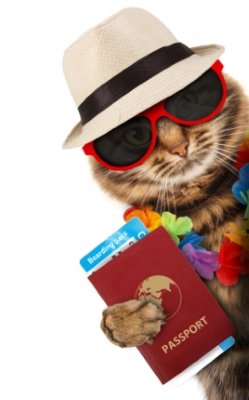 Cat passport