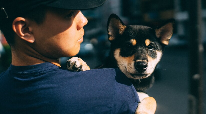 Owner holding his pup