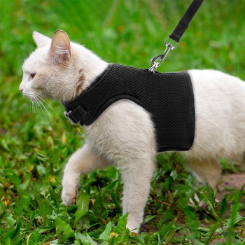 Step-In Cat Harness