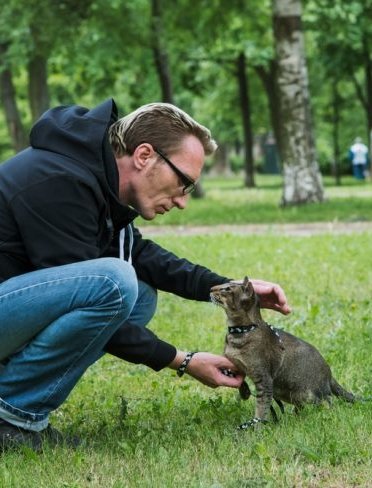 Training Cat